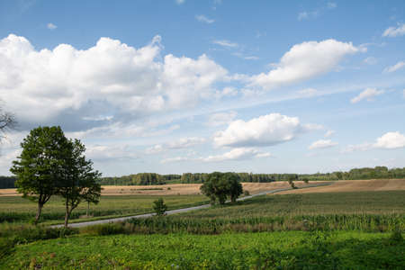 farmland fields landscape in Latvia.