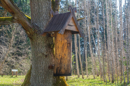Bee hive made from a trunk of old tree.
