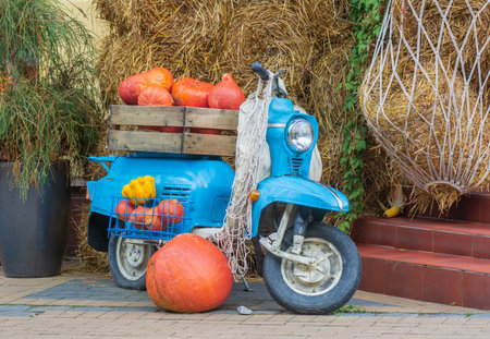 blue scooter with pumpkins on the streetの写真素材