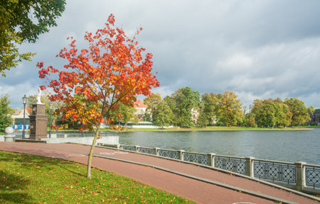 Autumn landscape in Kaliningrad public park ,Russiaの写真素材