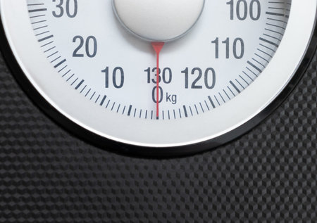 Close-up view of a scale. After edits.