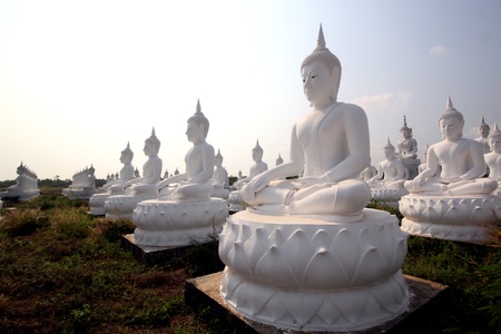 Buddha image in thai temple