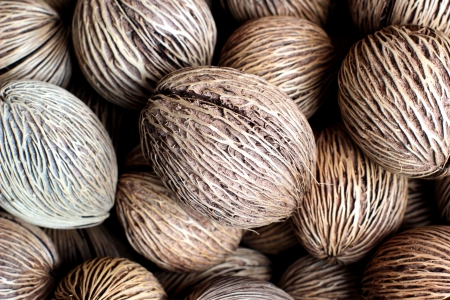 Pong pong seed as backgroundの写真素材