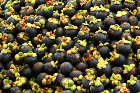 Pile of Mangosteen background or textureの写真素材
