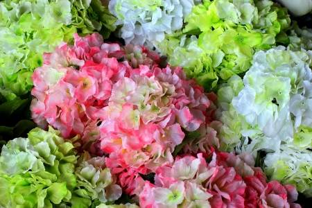 Colorful of decoration artificial flower