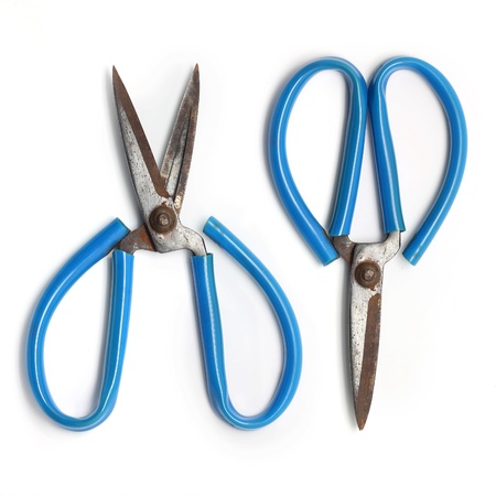 old scissors isolated on white backgroundの写真素材