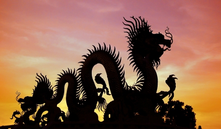 Silhouette of the golden Chinese dragon