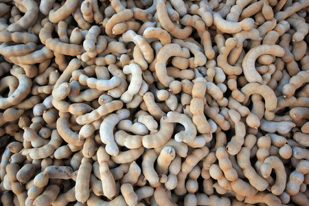 pile of tamarind fruit at street marketの写真素材