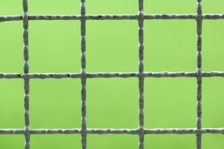 closeup of chainlink with nature backgroundの写真素材