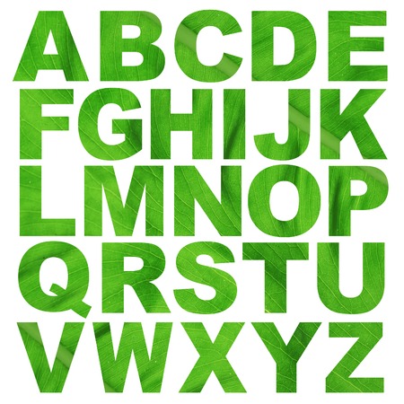 alphabet a to z made from leaf texture pictureの写真素材
