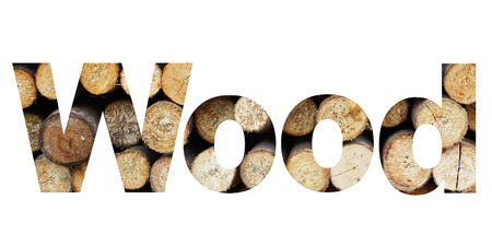 word wood from stump picture on white backgroundの写真素材