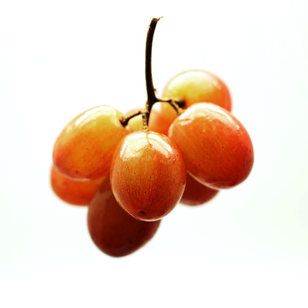 Fresh grape fruit  isolated on white background