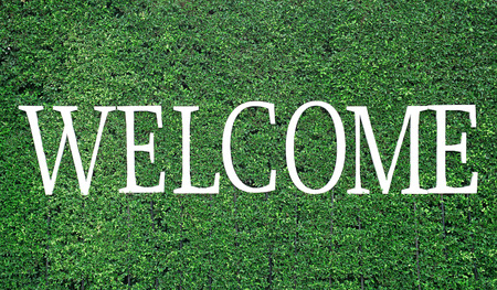 white welcome word on green tree backgroundの写真素材