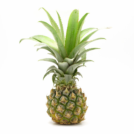 fresh pineapple isolated on white backgroundの写真素材