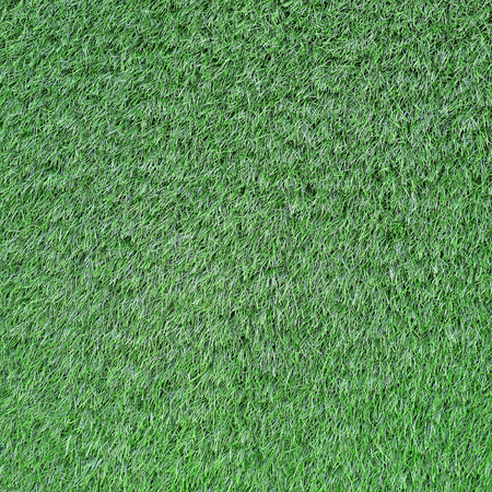green grass as background or textureの写真素材