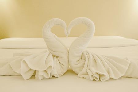swans shaped of towel on the bedの写真素材