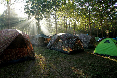 camping tents at a camp site with sunlight backgroundの写真素材