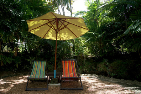 relaxation sunbathing chairs with big umbrella in a garden