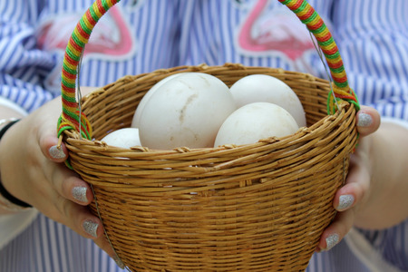 pile of duck eggs in the wicker basketsの写真素材