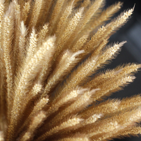 closeup of dried flowers in vase as background or textureの写真素材
