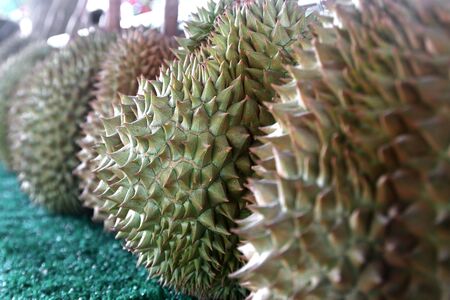 famous Thai fruit, durian fruit on market shelvesの写真素材