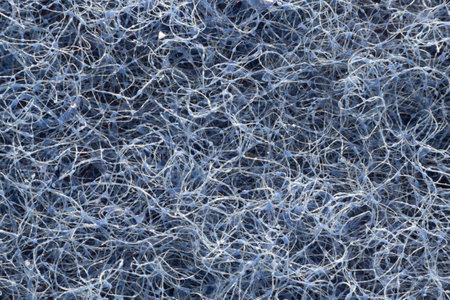 Fiber With A Blue Tint Under A Microscopeの写真素材