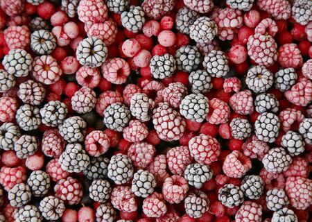 Frozen berries may be used as background.の写真素材