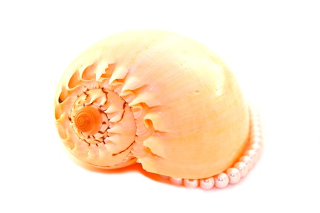 Pearl necklaceの写真素材