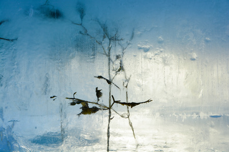 The texture of the ice. The frozen water.Winter backgroundの写真素材