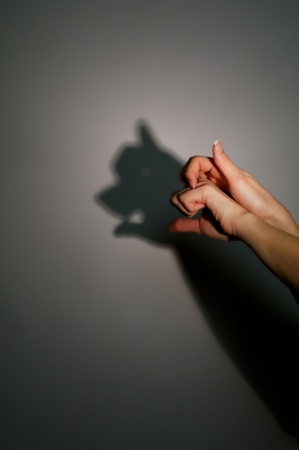 silhouette shadow of pig head from young womans handsの写真素材