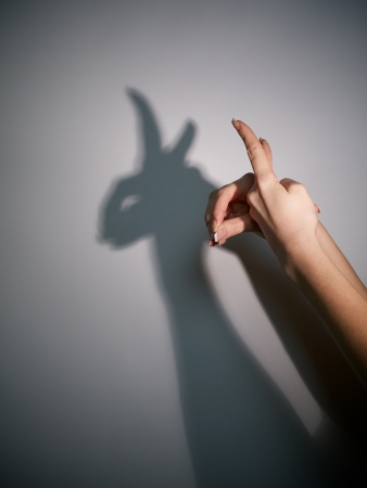 silhouette shadow of animal from young womanの写真素材