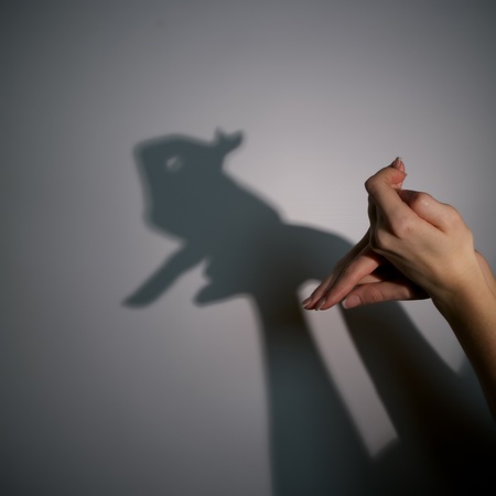 silhouette shadow of rabbit from young womanの写真素材