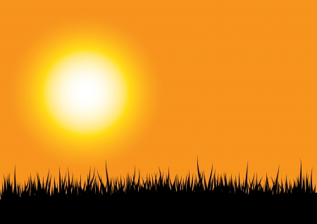 grass silhouette on orange sunset backgroundのイラスト素材