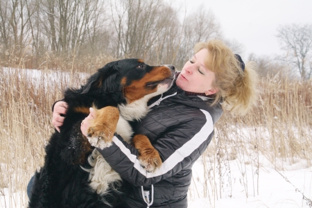 bernese mountain dog with womanの写真素材
