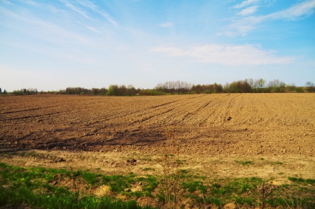 spring ploughed field under a blue skyの写真素材