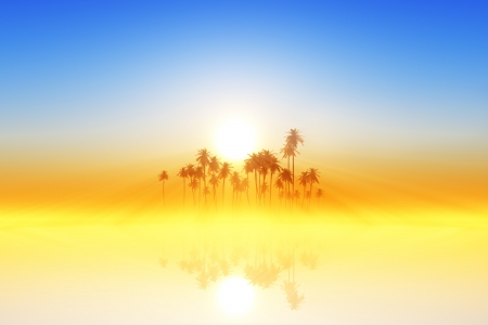 sun rays behind coconut palms and golden fogの写真素材