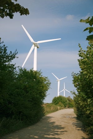 white windmills beside of old country roadの写真素材