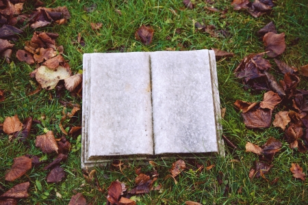 single tomb stone monument on green grass with autumn leavesの写真素材