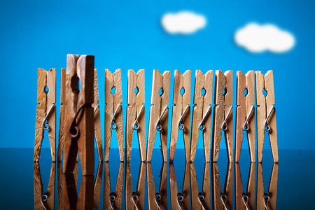 clothespin team in row with old leader on blue backgroundの写真素材