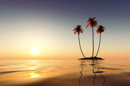 three palms on coconut island at sunriseの写真素材