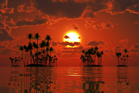 coconut palms at orange sunset over tropic seaの写真素材
