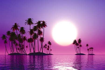 purple sunset over coconut tropic islandsの写真素材