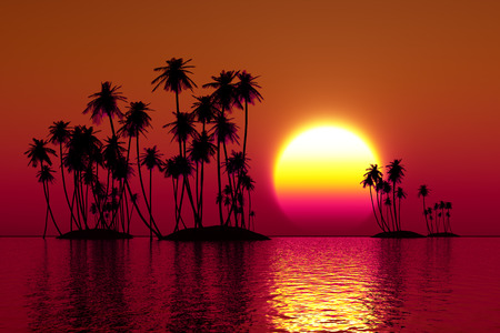 palms silhouette on coconut islands at red sunsetの写真素材