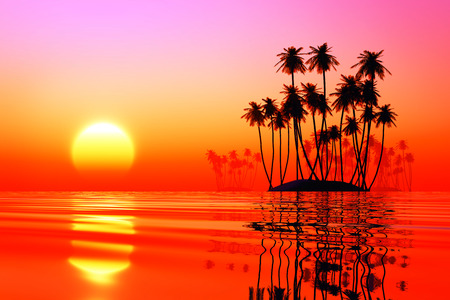 coconut islands at pink sunset over tropic seaの写真素材