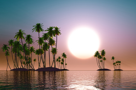turquoise sunset over coconut tropic islandsの写真素材