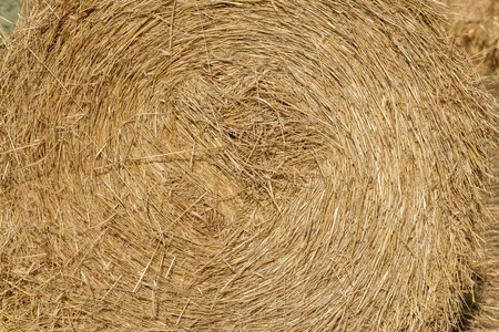 hay or straw roll closeupの写真素材