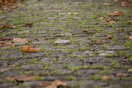 Old Gray Cobbled Stones Road closeup viewの写真素材