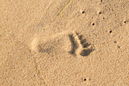 single children foot print on wet sea sandの写真素材