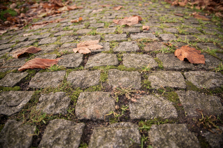 Old Cobbled Stones Road Close up with Autumn Leavesの写真素材