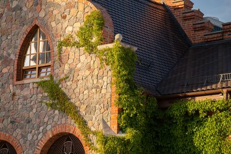 vintage medieval home with mansard windows and ivy sunny time